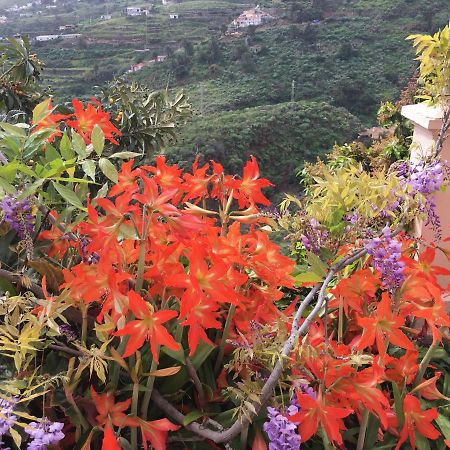 Willa Casa Ayane Santa Cruz de la Palma  Zewnętrze zdjęcie