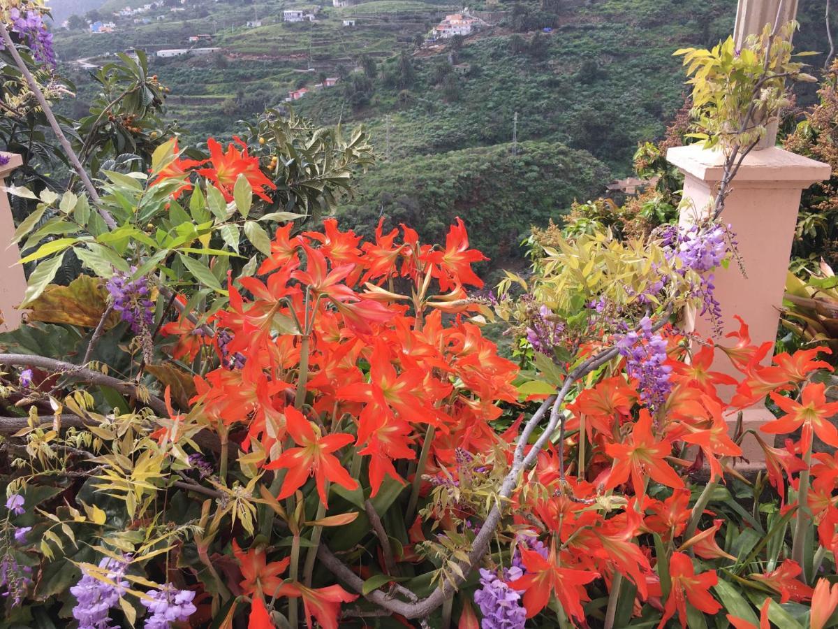 Willa Casa Ayane Santa Cruz de la Palma  Zewnętrze zdjęcie