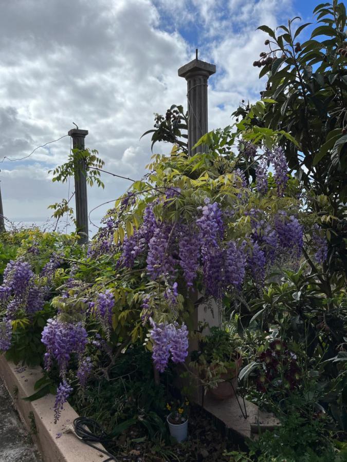 Willa Casa Ayane Santa Cruz de la Palma  Zewnętrze zdjęcie